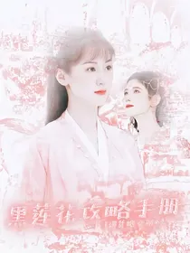 陈情令：黑莲花攻略手册