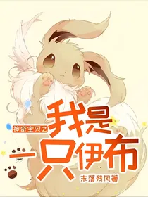 神奇宝贝之我是一只伊布
