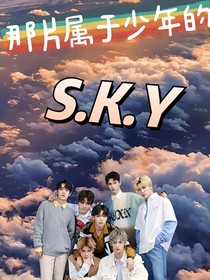 那片属于少年的SKY