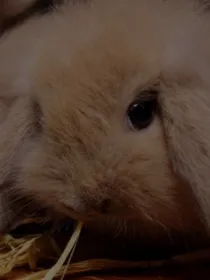 进酱的每日随笔