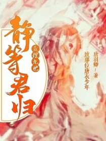 查理九世：静待君归