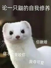 论一只鼬的自我修养