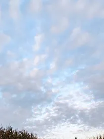 我要当大明星！