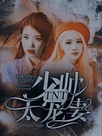 TNT：少帅太宠妻
