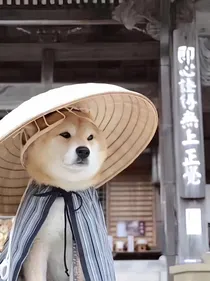 白雪公主不开心