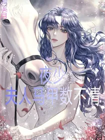 夜少，夫人马甲数不清