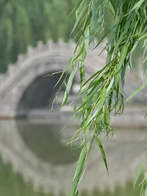 清风奏离歌-d502