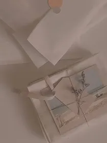 四季周报