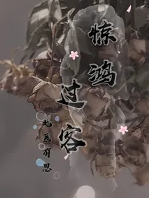 惊鸿过客