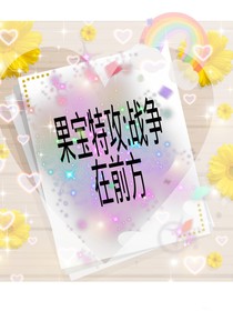 果宝特攻（战争在前方）