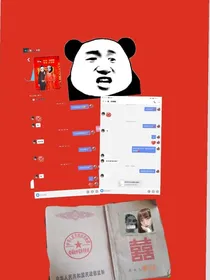 土豆穿越之：成为陆帅的老婆