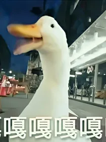 晚风吹不散月光丶