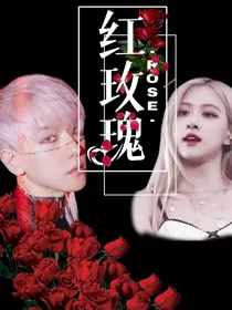 红玫瑰—ROSE—