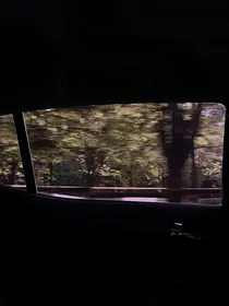 千里马的小黑马