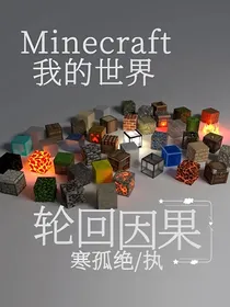 我的世界：轮回因果