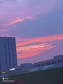 为妄想所害