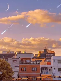 忆温柔岁月