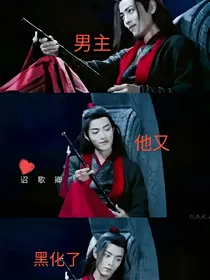 综影视男主他又黑化了