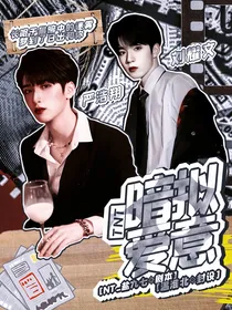 TNT：暗拟爱意