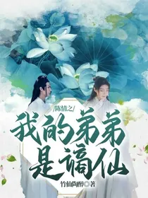 陈情之我的弟弟是谪仙