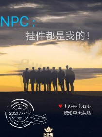 NPC：挂件都是我的！（第三世界）