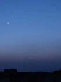 再遇他
