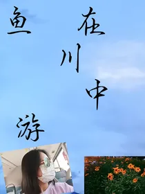 鱼在川中游！