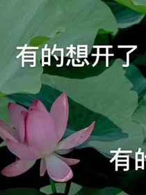 游记封面铺