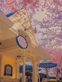 柚城之恋
