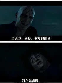 HP：系统逼我做新黑魔王