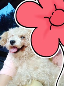 我的她不在了