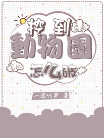 盗笔：挖到动物园怎么破