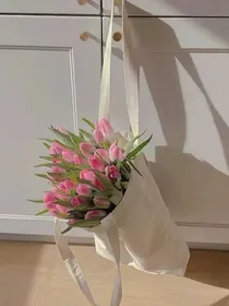 安然小文案