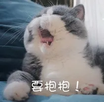 剩女自救大行动