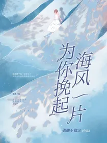 为你挽起海风一片