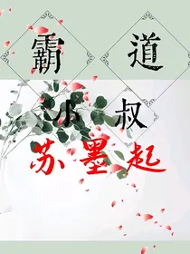 霸道小叔苏墨起