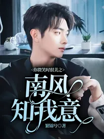 你微笑时很美之南风知我意