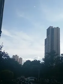 c猫：奇怪的机遇