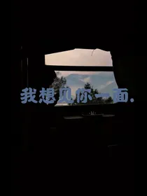 我想见你一面……