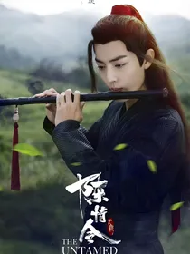 陈情令：温柔如水