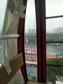 伊向和蜜桃的历险记