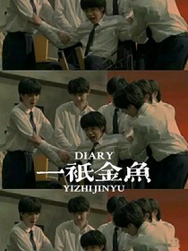 TNT：一只金鱼-d598
