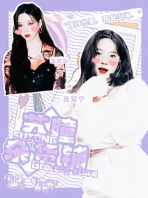 苏瞳杂货铺