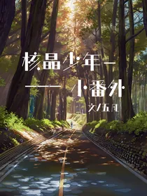 核晶小番外