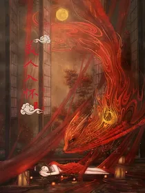 综影视之美人入怀