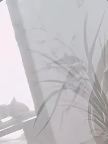 穿越漫漫时空鲤
