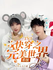TNT：快穿之完美系统