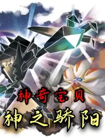 神奇宝贝：神之骄阳