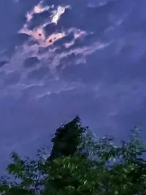 暗恋终无果