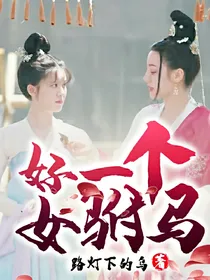 好一个女驸马